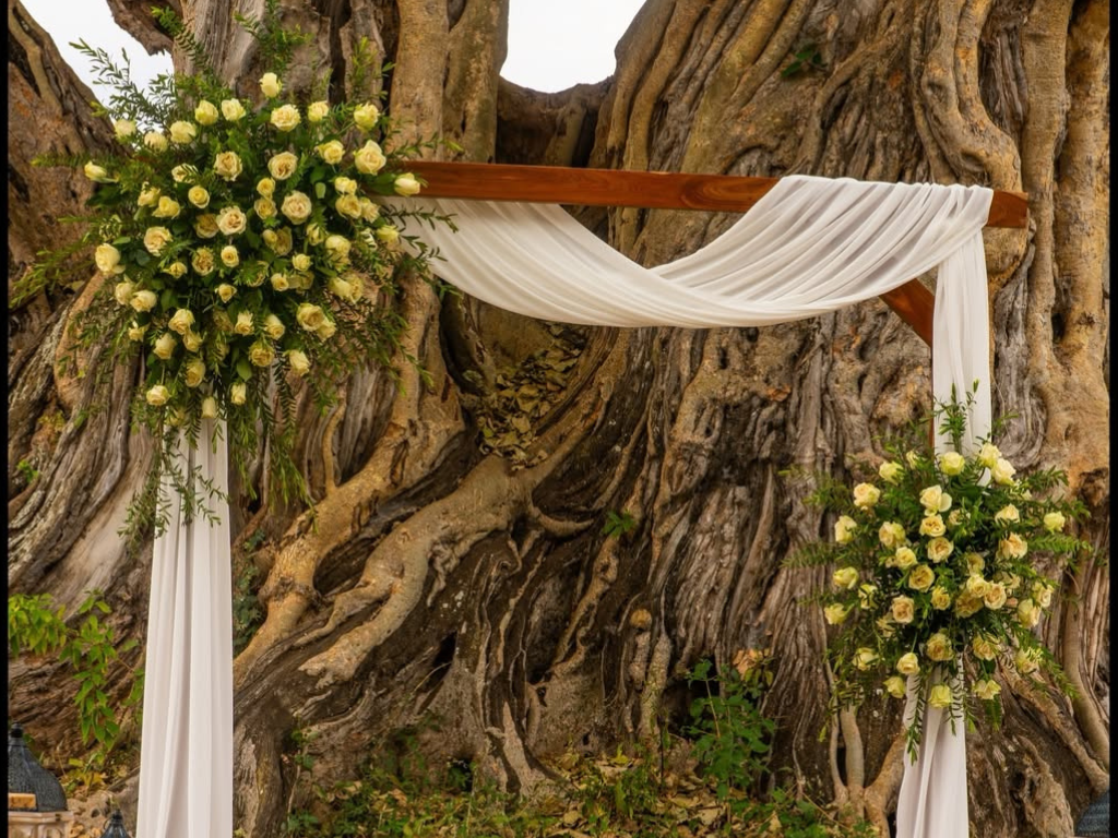 Luxury safari wedding venue in Tanzania overlooking the Serengeti.