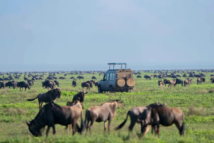 Couple traveling through the scenic Ngorongoro Highlands en route to Ndutu for a luxury safari elopement in Tanzania
