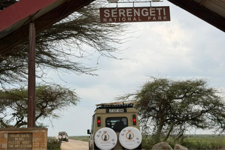 Couple enjoying a safari in Serengeti National Park