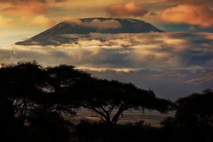 kilimanjaro (2)