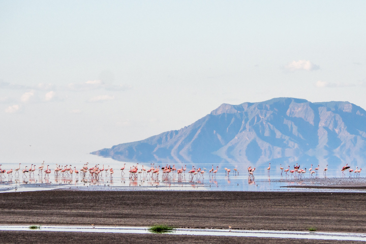 Newlyweds trekking Lake Natron with Maasai guide during safari honeymoon